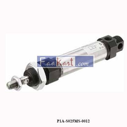Picture of P1A-S025MS-0012 - PARKER CYLINDER