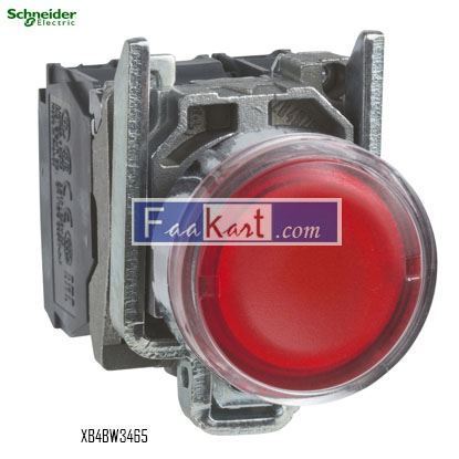 Picture of XB4BW3465  SCHNEIDER  illum pushbutton