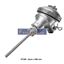 Picture of Pt100 Thermocouple 6X300MM