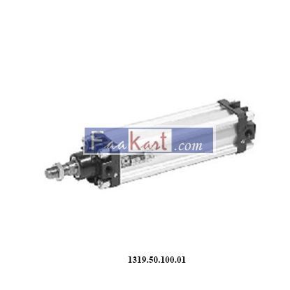 Picture of 1319.50.100.01  CYLINDER