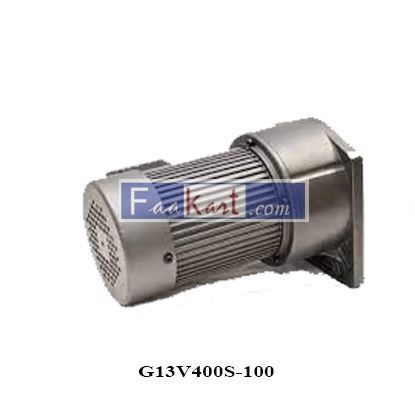 Picture of G13V400S-100 Precision gear motor