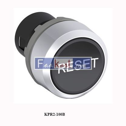 Picture of KPR2-100B  RESET PUSHB
