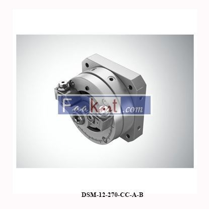 Picture of DSM-12-270-CC-A-B   Rotary swing cylinder