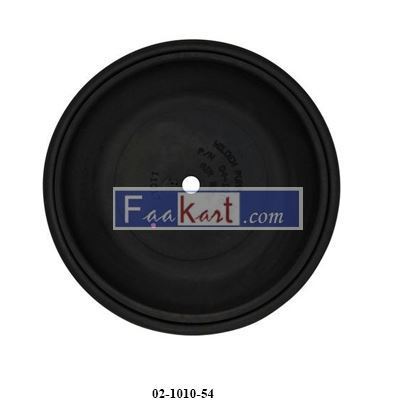 Picture of 02-1010-54  Diaphragm, EPDM