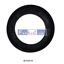 Picture of 08-1120-54  Valve Seat,  WILDEN