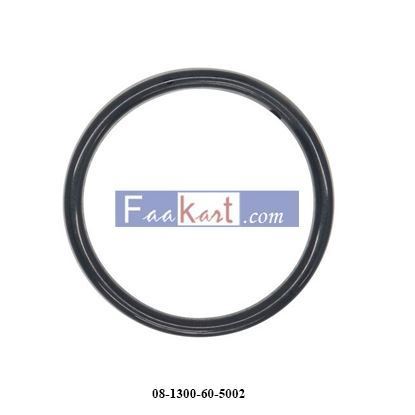 Picture of 08-1300-60-500   O-RING USED IN 1.5"-2" PUMPS, PTFE