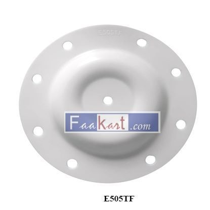 Picture of E505TF    0.5" pump diaphragm, PTFE