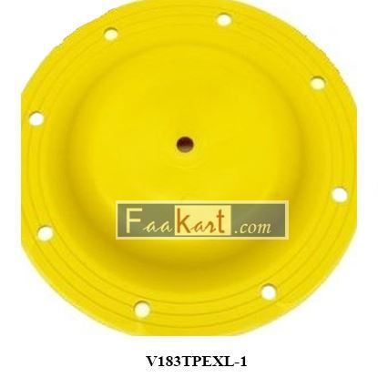 Picture of V183TPEXL-1   diaphragm