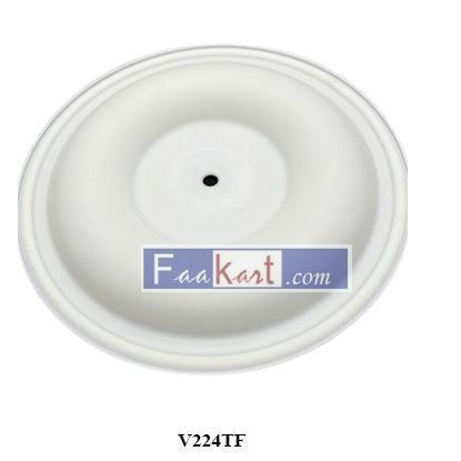 Picture of V224TF  diaphragm