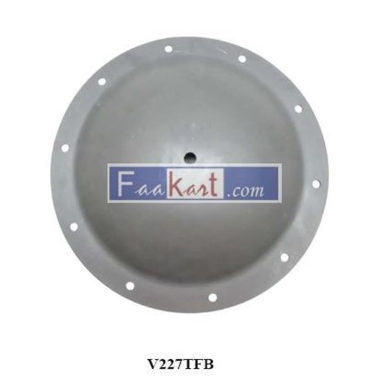 Picture of V227TFB   diaphragm