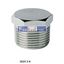 Picture of 2610 3/4 CAMOZZI Brass Pipe Fittings BSPT Male Plug