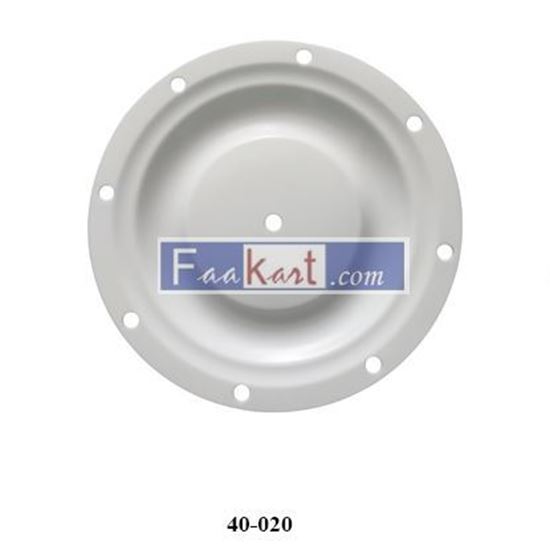 Picture of 40-020  Diaphragm, PTFE