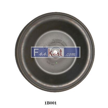 Picture of 1B001    diaphragm