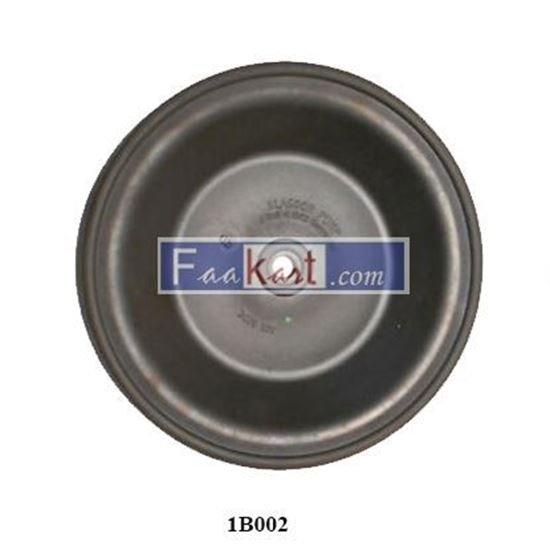 Picture of 1B002  diaphragm