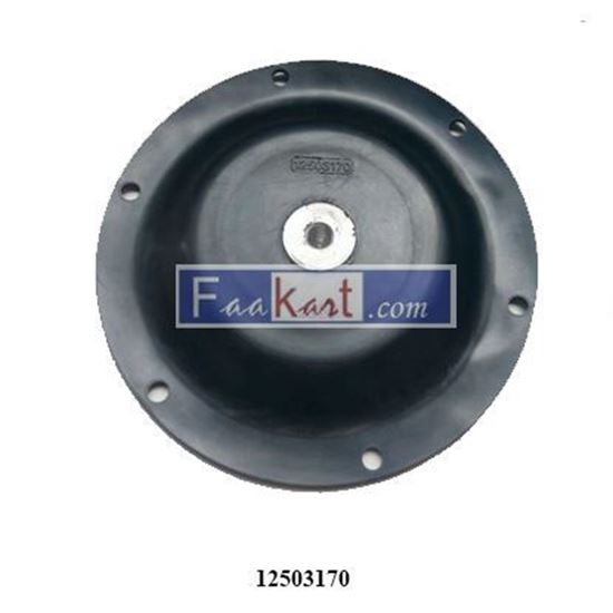 Picture of 12503170     Diaphragm