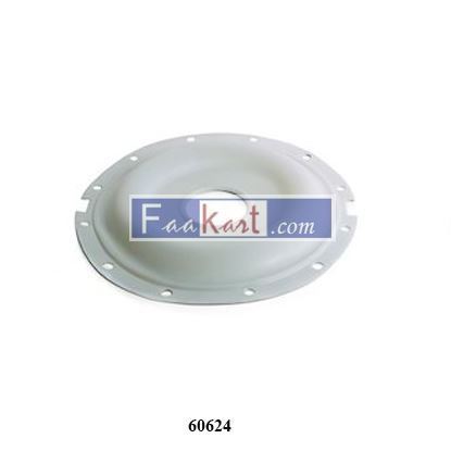 Picture of 60624  Diaphragm PTFE