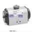 Picture of ARP-010-… CAMOZZI Rotary actuators
