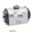 Picture of ARP-100-… CAMOZZI Rotary actuators