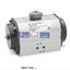 Picture of ARP-150-… CAMOZZI Rotary actuators
