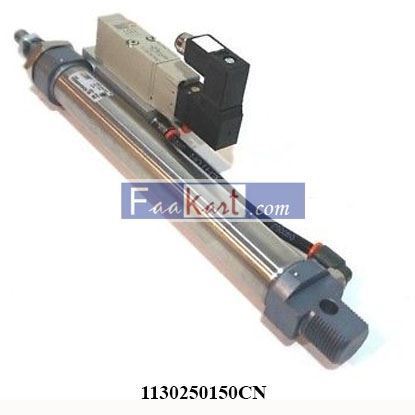 Picture of 1130250150CN METALWORK PNEUMATIC CYLINDER