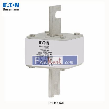 Picture of 170M6160   EATON   High speed square body fuse