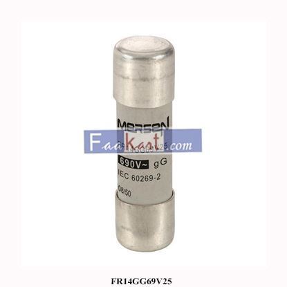 Picture of C213603 - FR14GG69V25  FERRAZ   FUSE