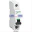 Picture of A9N1P02C  Schneider Electric  Miniature circuit breaker