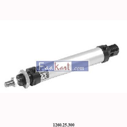 Picture of 1260.25.300  PNEUMAX  CYLINDER