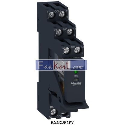 Picture of RXG23P7PV  Schneider Electric  Interface plug in relay pre assembled, Harmony, 5A, 2CO, with LED, 230V AC