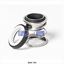 Picture of BSP-703 Berliss, Pump Shaft Seal, Type 2, 7/8 Inch Shaft, Buna, Cup Mount Seat