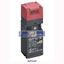 Picture of D4NS4AF OMRON  Safety Interlock Switch