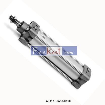 Picture of 60M2L063A0250  CAMOZZI  Standard Cylinder