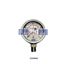 Picture of 233.50.063  WIKA  Pressure Gauge