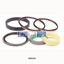 Picture of 100X250 SEAL KIT FOR CYLINDER S3 ISO15552 2-ACT