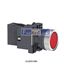 Picture of XA2EW34B1  SCHNEIDER  COMPLETE ILLUMINATED PUSH BUTTON