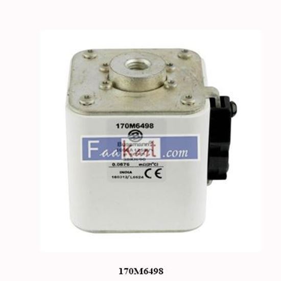 Picture of 170M6498 Eaton Specialty Fuses