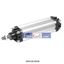Picture of 1319.125.150.01  PNEUMAX  Cylinder