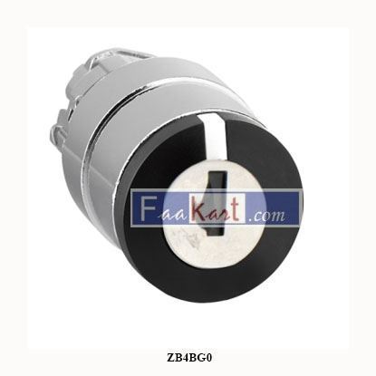 Picture of ZB4BG0   SCHNEIDER  KEY SWITCH