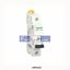 Picture of A9F84110  SCHNEIDER   MINIATURE CIRCUIT BREAKER