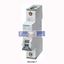 Picture of 5SY4102-7 SIEMENS Miniature circuit breaker