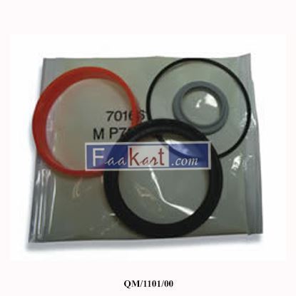Picture of QM/1101/00 NORGREN Service kits for M/1000, 10"