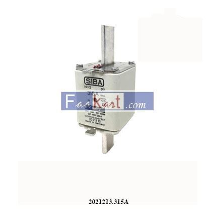 Picture of 2021213.315A  FUSE