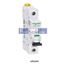 Picture of A9I18106  SCHNEIDER  Miniature circuit breaker