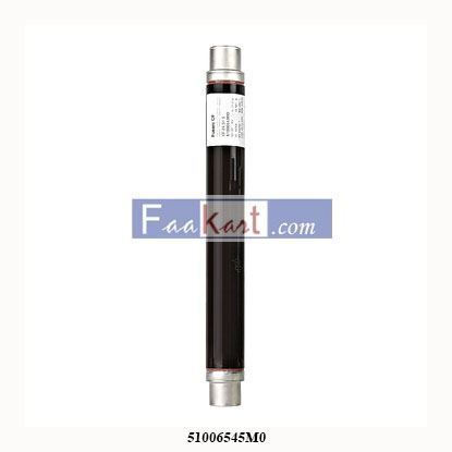 Picture of 51006545M0  SCHNEIDER  FUSE