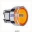 Picture of ZB4BW35  SCHNEIDER  Head for illuminated push button