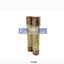 Picture of E25S60 EDISON  Semi Conductor Fuse