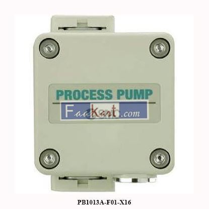 Picture of PB1013A-F01-X16  SMC PROCESS PUMP, AIR OPERATED SPL