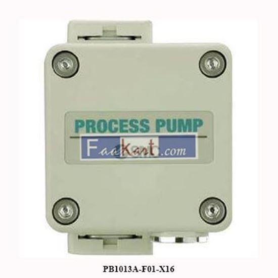 Picture of PB1013A-F01-X16  SMC PROCESS PUMP, AIR OPERATED SPL