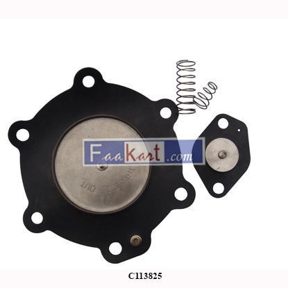 Picture of C113825 Emerson Asco - SOLENOID VALVE SPARE PART KIT