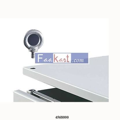 Picture of 4568000  RITTAL Steel Eye Bolt